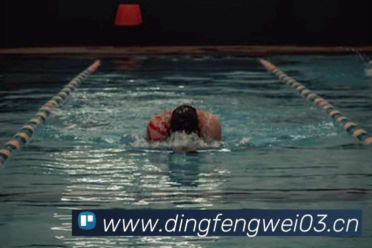 星空网页版官网入口平台生态图