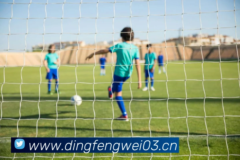 星空网页版官网入口APP 封面图