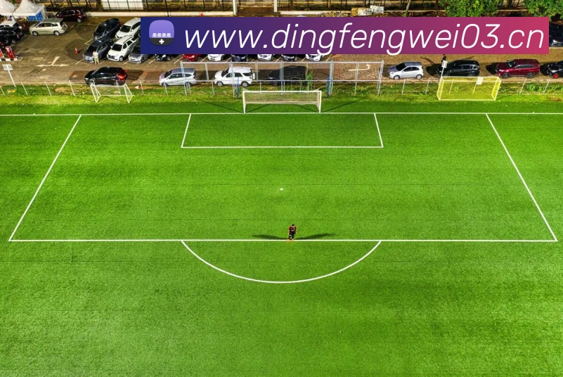 数据防护可视化